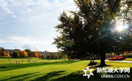 新加坡管理学院专业课程介绍