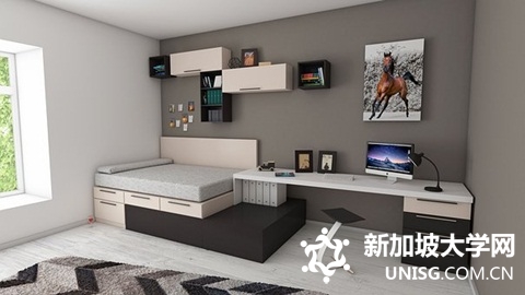 新加坡中学教育体系和入学方案