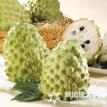 在新加坡你不可错过的十大热带水果