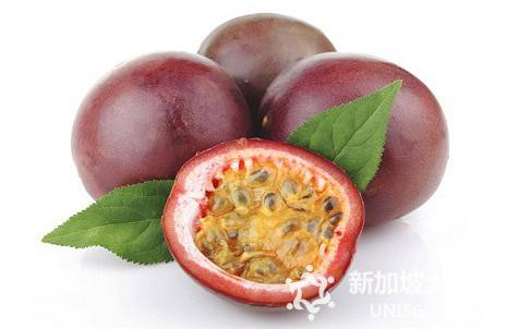 在新加坡你不可错过的十大热带水果