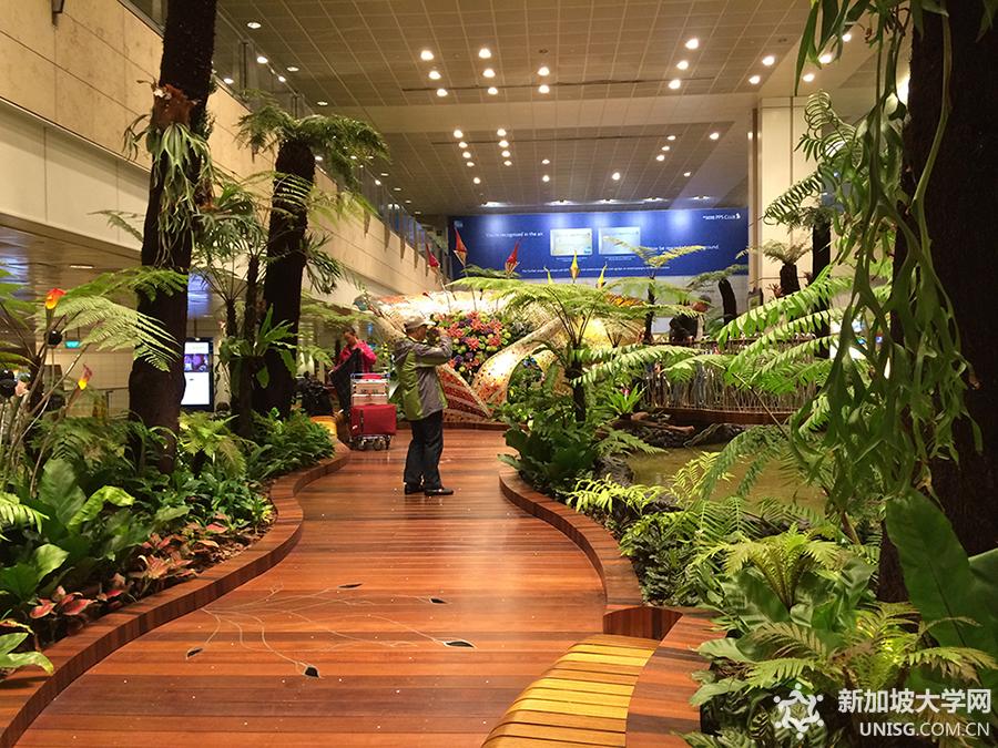 细数新加坡之最