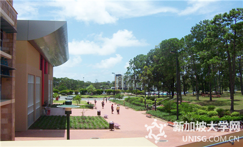 新加坡科廷为学生设置的商科本科课程有哪些