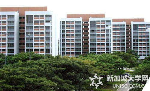 新加坡南洋理工学院专业设置概况详览