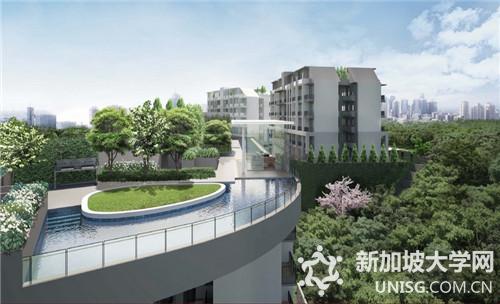 申请新加坡留学条件都有哪些