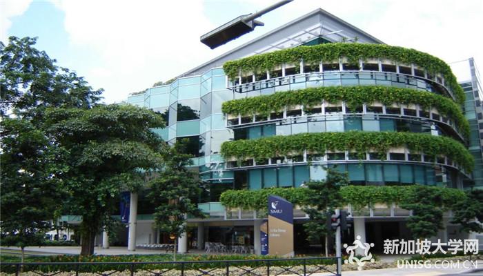 新加坡管理大学,申请条件