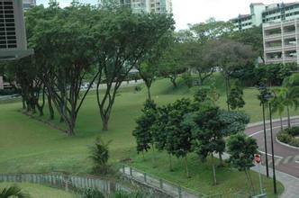 住宿环境,高档公寓