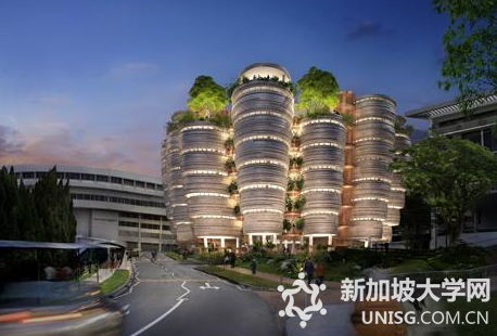 新加坡南洋理工大学,申请材料