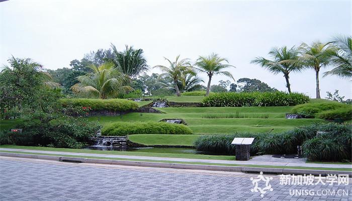 新加坡南洋理工大学,研究生,如何申请