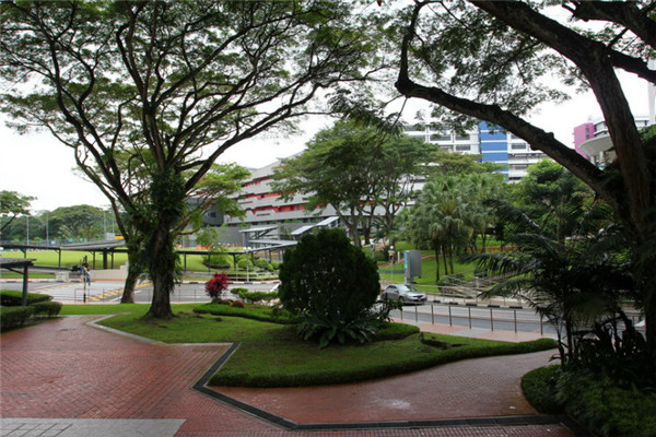 新加坡义安理工学院生命科学与化学学院开设专业及入学要求