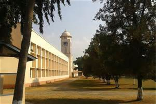 新加坡AEC学院环球物流管理本科课程