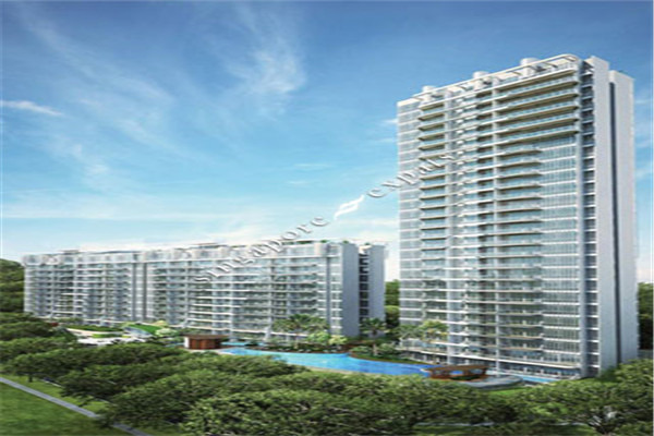 新加坡圣法兰西斯中学如何节约留学费用