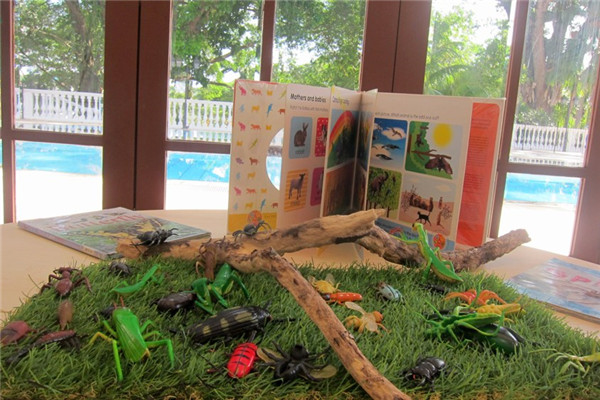 新加坡伊顿国际教育集团留学医疗保险详解