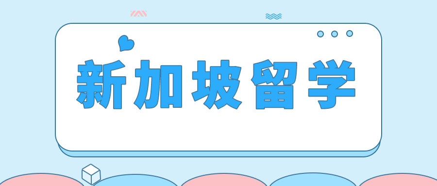 新加坡理工学院学生可以跨专业升本吗？2026跨专业升本规则、难度与路径详解