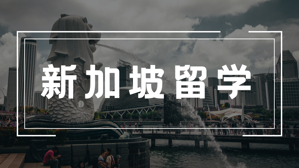 新加坡中文硕士和英文硕士区别|含金量、难度、就业全面对比
